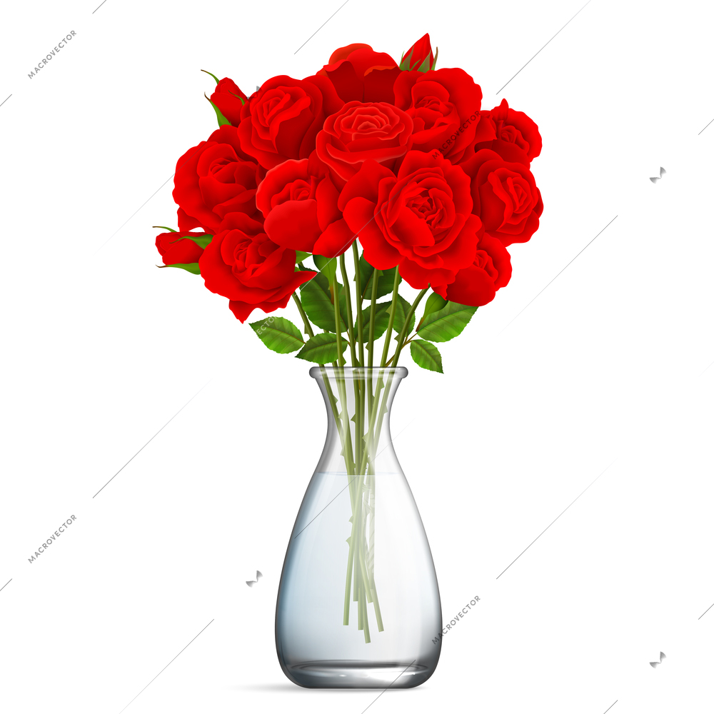 Realistic glass vase with bouquet of red rose on white background isolated vector illustration
