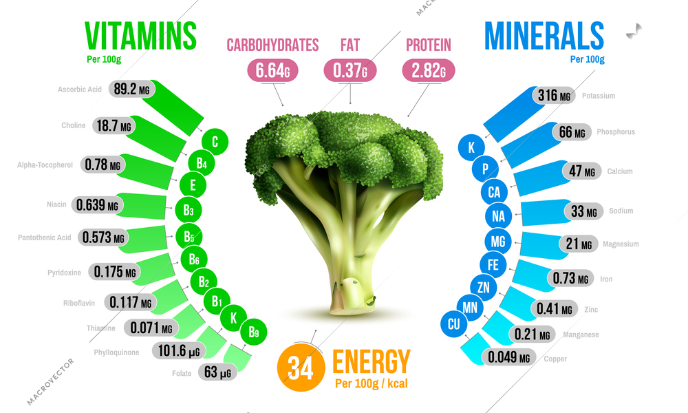 Broccoli nutrients infographics diagram showing vitamins minerals carbohydrates fats protein energy realistic vector illustration