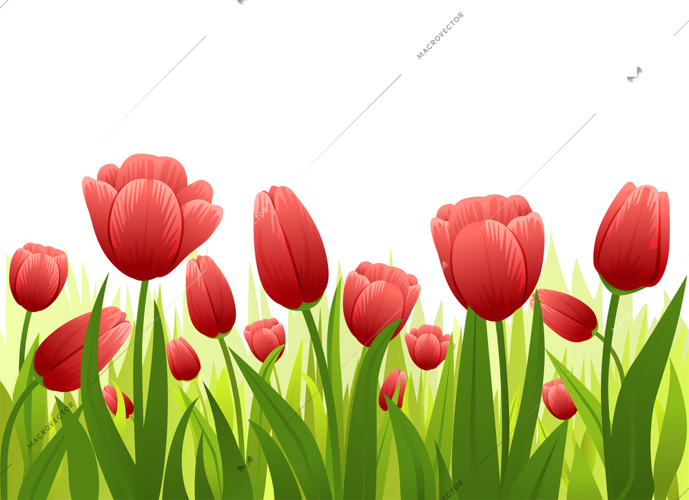 Spring flowers flat composition with green floral stalks with leaves and red buds on blank background vector illustration