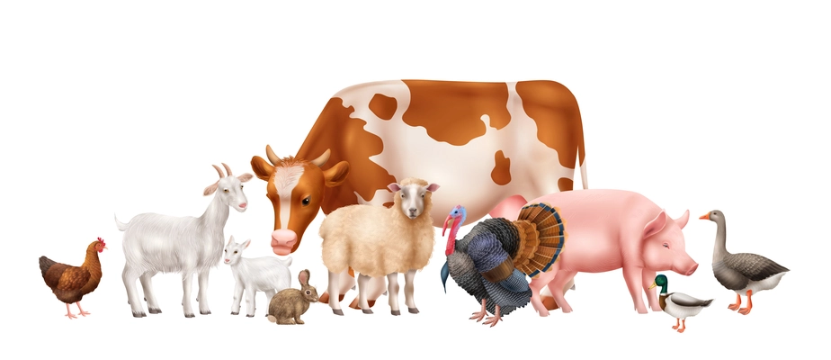 Realistic composition with cute domestic farm animals and birds on white background vector illustration