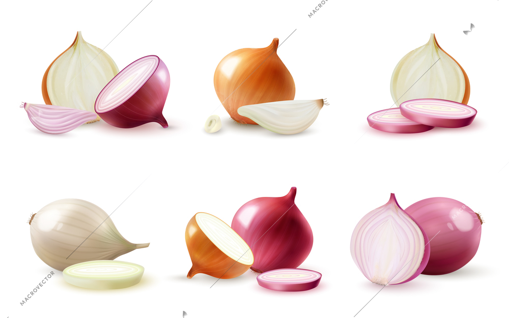Realistic set of compositions with whole and sliced fresh red and yellow onion isolated vector illustration