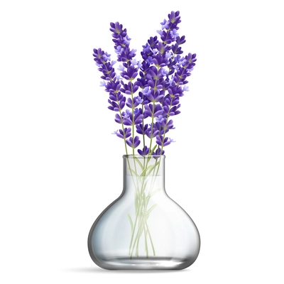 Realistic glass vase with bunches of lavender flowers on white background isolated vector illustration