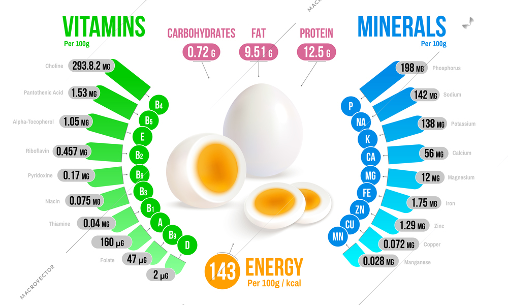 Egg nutrients infographics diagram showing vitamins minerals carbohydrates fats protein energy realistic vector illustration