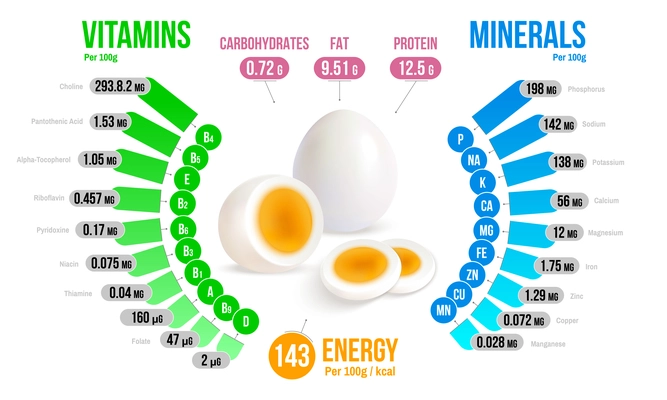 Egg nutrients infographics diagram showing vitamins minerals carbohydrates fats protein energy realistic vector illustration