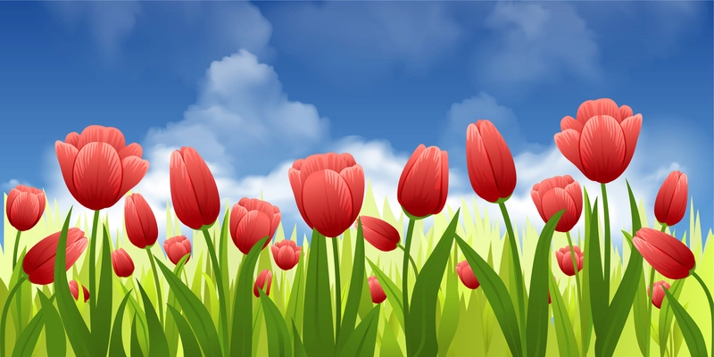 Spring flowers flat composition with outdoor scenery and clear sky with wild growing blossoms of tulips vector illustration