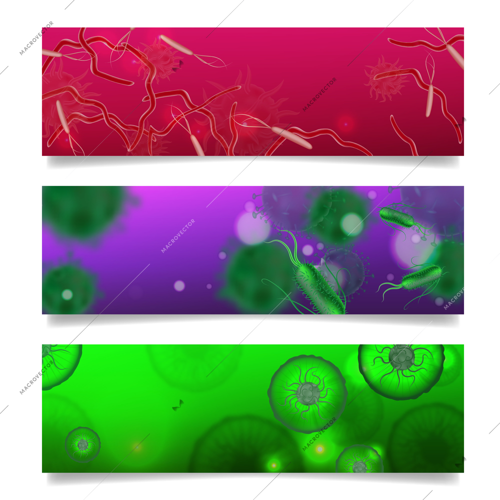 Bacteria shapes set of three horizontal banners with artwork and realistic images of colorful microbes microorganisms vector illustration