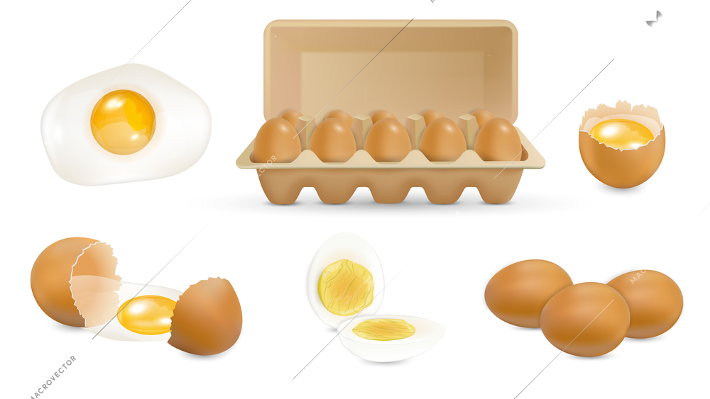 Brown eggs realistic set with isolated images of whole scrambled and broken eggs with ten pack vector illustration