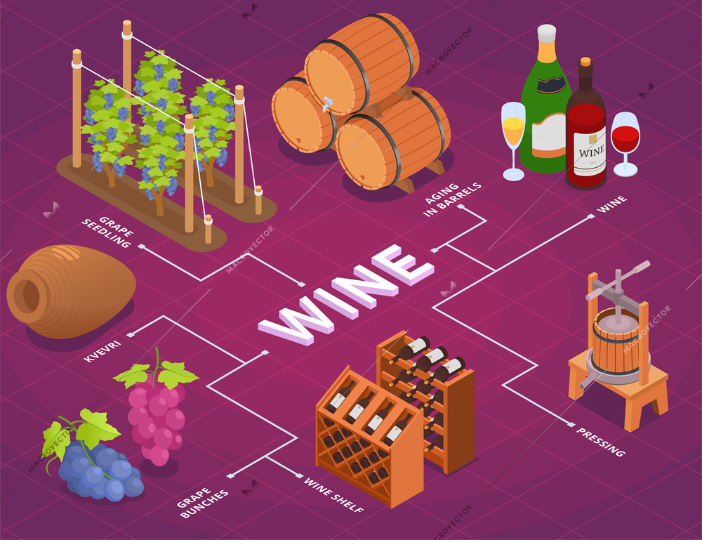 Wine production isometric flowchart with grape bunches seedlings wooden barrels shelves kvevri pressing and aging process 3d vector illustration