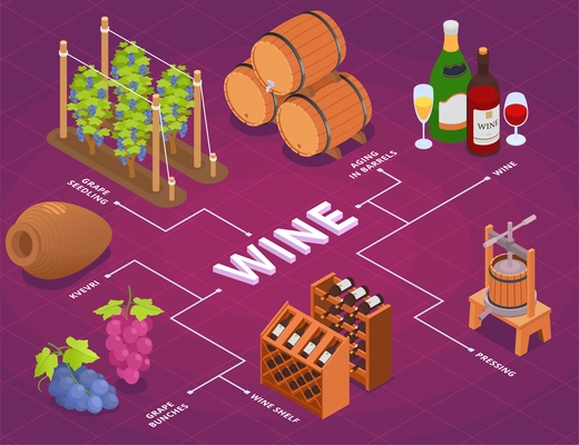 Wine production isometric flowchart with grape bunches seedlings wooden barrels shelves kvevri pressing and aging process 3d vector illustration