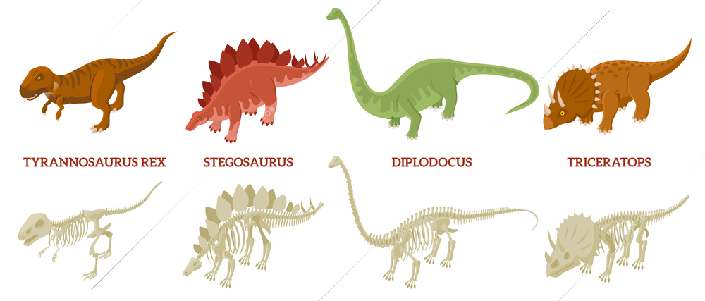 Isometric dinosaurs skeleton set with isolated icons of colored reptiles text captions and realistic bone structure vector illustration