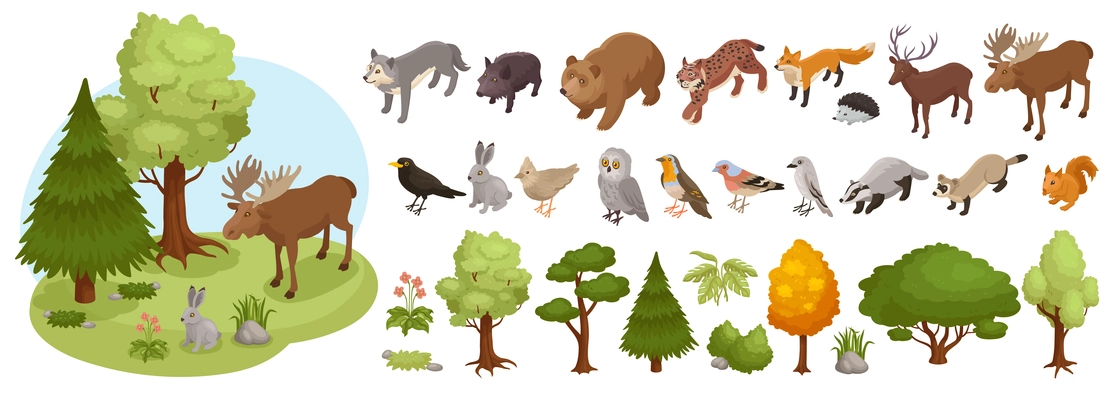 Isometric forest animal big set with isolated icons of flora and fauna representatives on blank background vector illustration