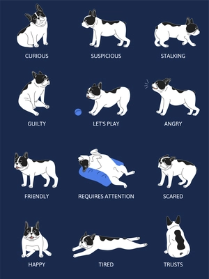Dogs emotions body language set flat isolated vector illustration