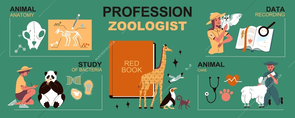 Profession zoologist infographics layout with red book animal care study of bacteria data recording sections flat vector illustration