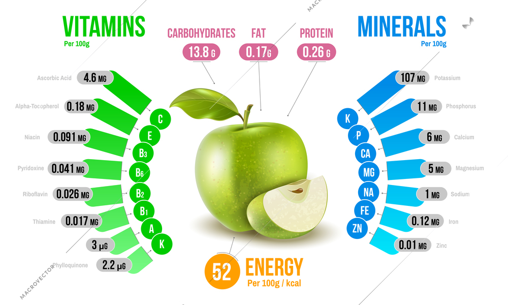 Apple nutrients infographics diagram presenting vitamins minerals carbohydrates fats protein energy realistic vector illustration