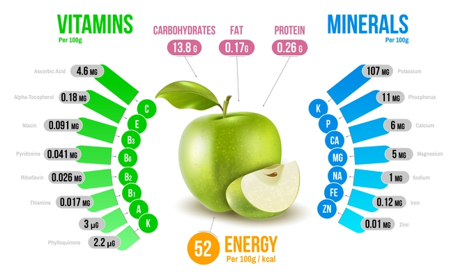 Apple nutrients infographics diagram presenting vitamins minerals carbohydrates fats protein energy realistic vector illustration