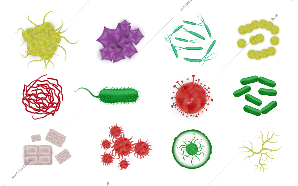 Bacteria shapes set with realistic images of microbes colorful icons of microorganism cells on blank background vector illustration