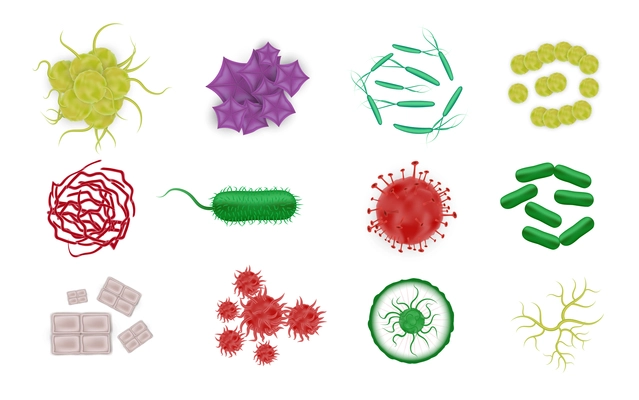 Bacteria shapes set with realistic images of microbes colorful icons of microorganism cells on blank background vector illustration