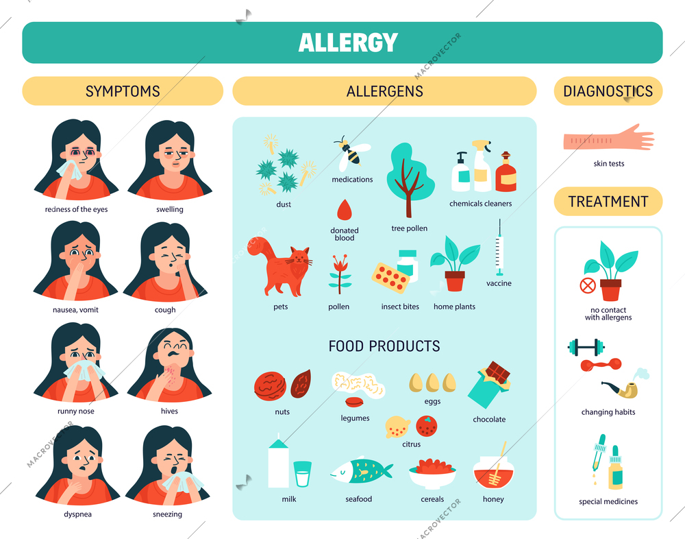 Allergy colored infographic with table division into symptoms allergens diagnostics treatment and other descriptions vector illustration