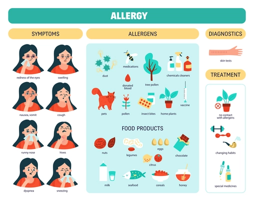 Allergy colored infographic with table division into symptoms allergens diagnostics treatment and other descriptions vector illustration