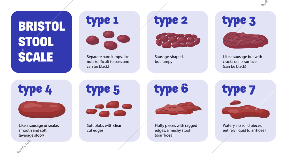 Bristol stool composition with chart of square shaped compositions with text captions and shapes of shit vector illustration