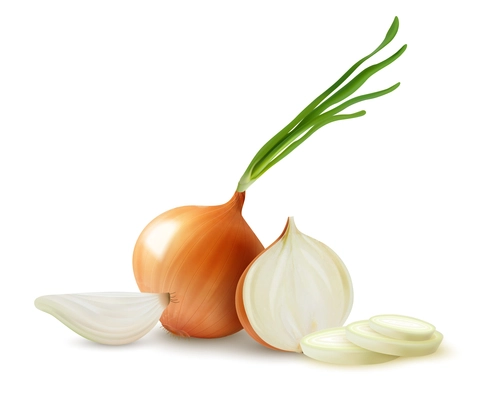 Realistic whole and sliced yellow onion with sprouts composition against white background vector illustration