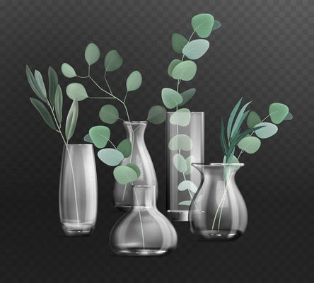 Dark transparent background with green bunches of eucalyptus in different glass vases realistic vector illustration