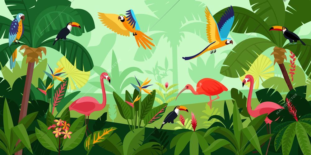 Flat jungle composition birds fly in dense jungle pink flamingos and large parrots vector illustration