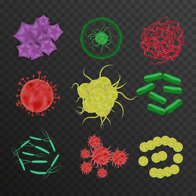 Bacteria shapes set of realistic icons on transparent background with colorful isolated images of fermentation microorganisms vector illustration