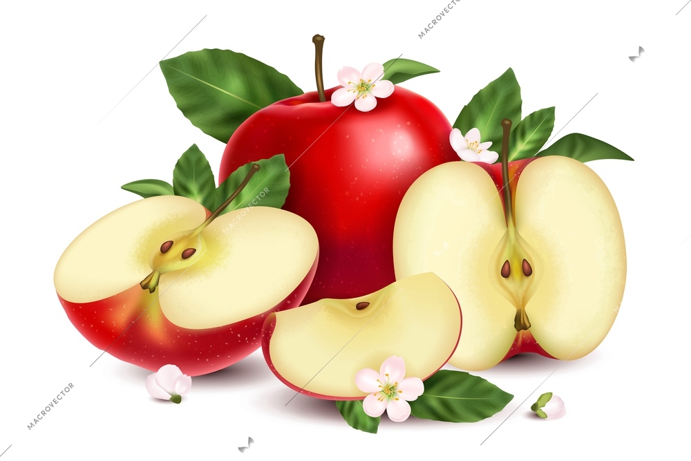 Fresh whole and sliced red apples with flowers and green leaves realistic composition vector illustration