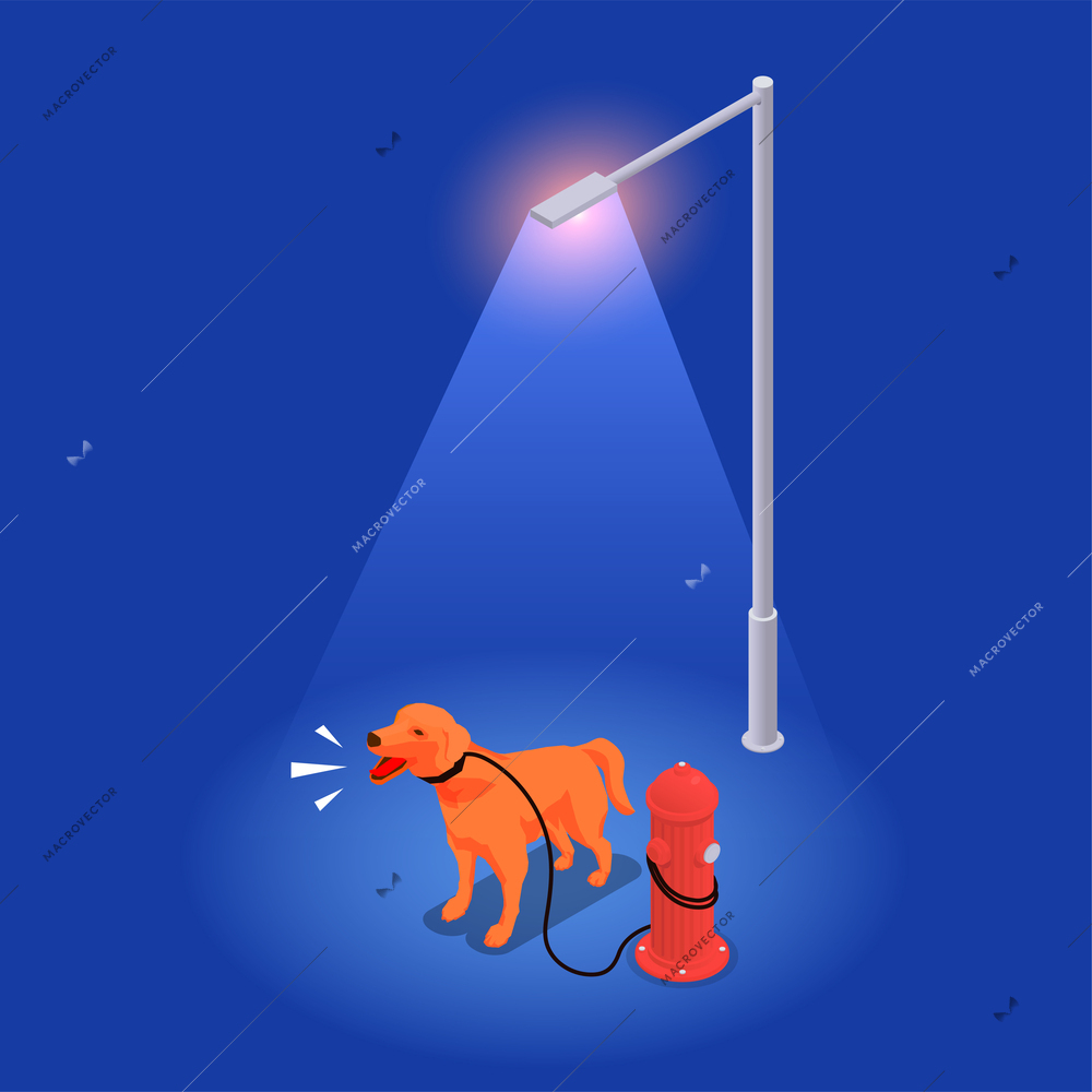 Noice pollution isometric concept with dog barking under the street light vector illustration