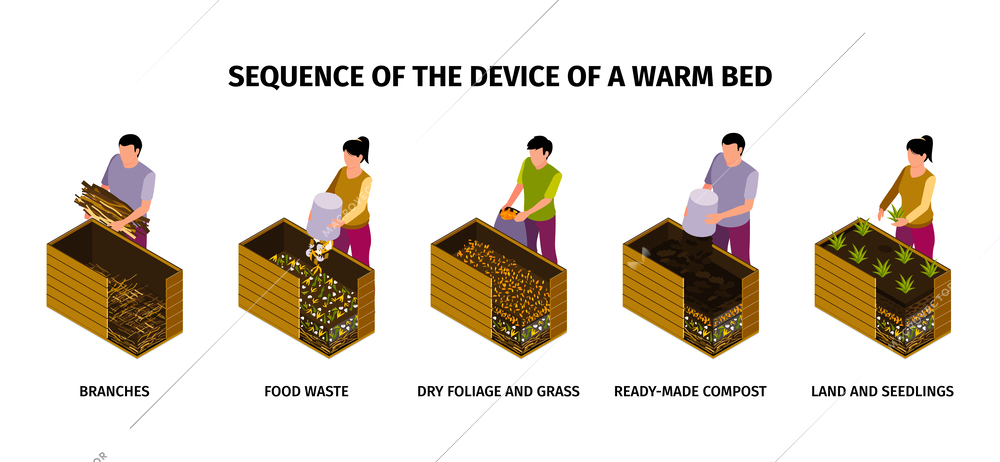 Infographics sequence of device of warm bed for fertile land and seedlings isometric vector illustration