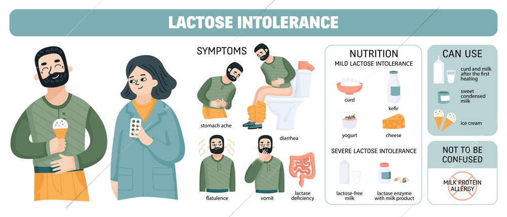 Lactose intolerant diagram with human characters and isolated icons of anatomic limbs dairy food and text vector illustration