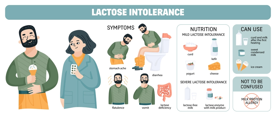 Lactose intolerant diagram with human characters and isolated icons of anatomic limbs dairy food and text vector illustration