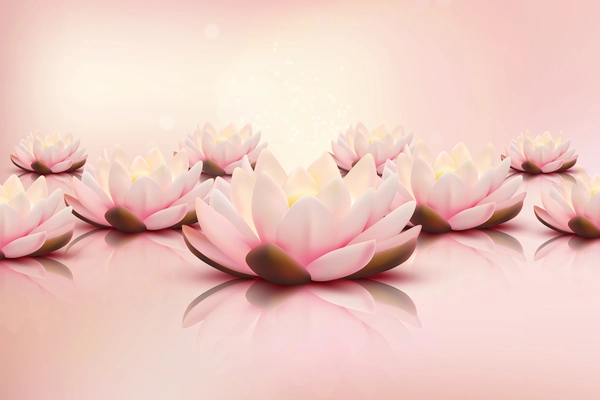 Lotus flowers scattered on smooth reflective surface pink background for cosmetic and spa salon design realistic vector illustration