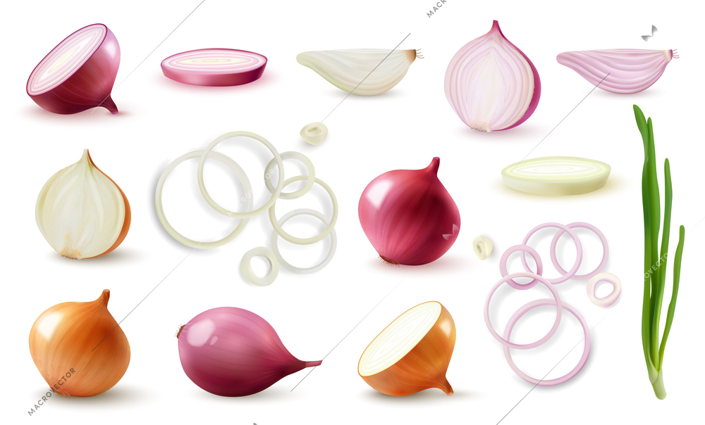 Fresh whole sliced red and yellow onion realistic set isolated against white background vector illustration