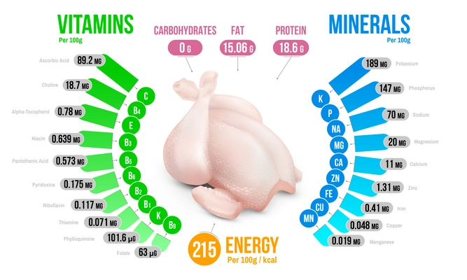 Chicken  nutrients infographics diagram presenting vitamins minerals fat protein energy realistic vector illustration