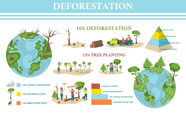 Deforestation infographic set with tree planting symbols flat vector illustration