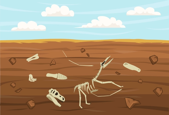 Dinosaur skeleton fossils with bones and skulls in soil flat vector illustration