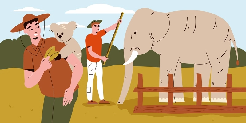 Zoologist flat composition with two male scientist characters exploring and studying elephant and  little bear vector illustration