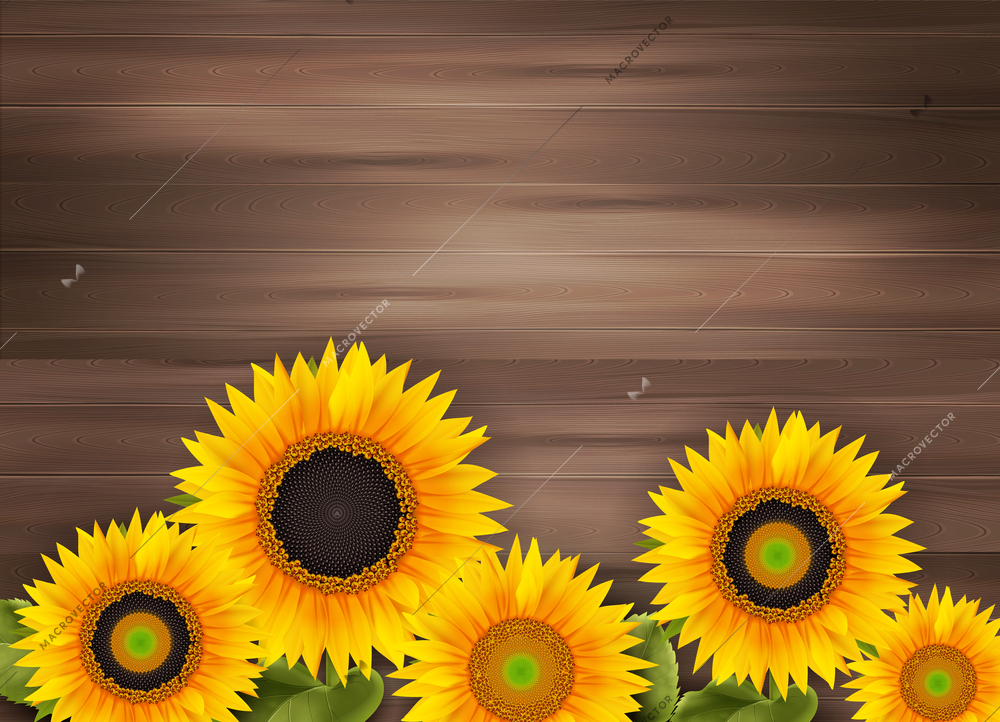 Abstract wooden background with border consisting of yellow sunflowers realistic vector illustration