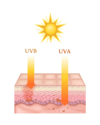 Realistic cross section of human skin layers affected by uva and uva sun rays vector illustration