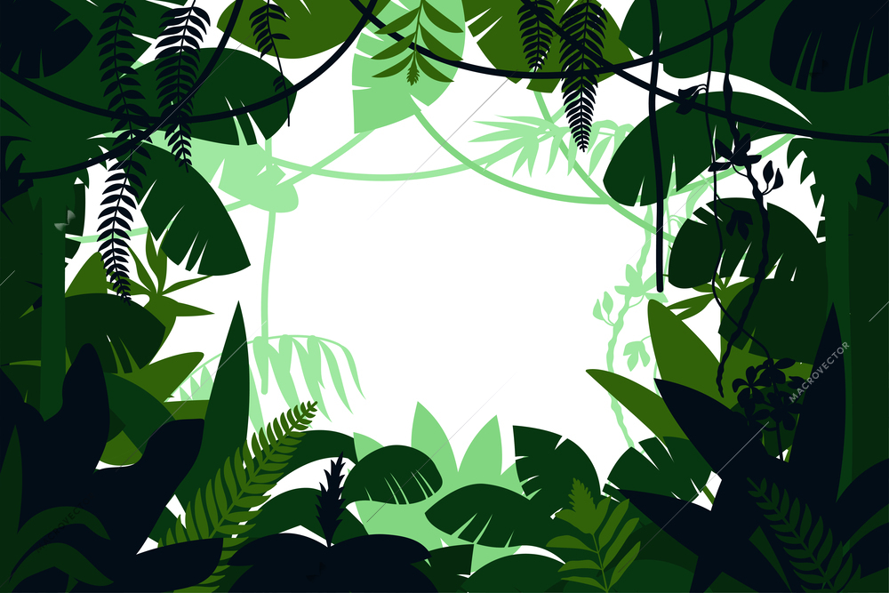 Colored jungle frame large leaves frame the scene as circle on white background vector illustration