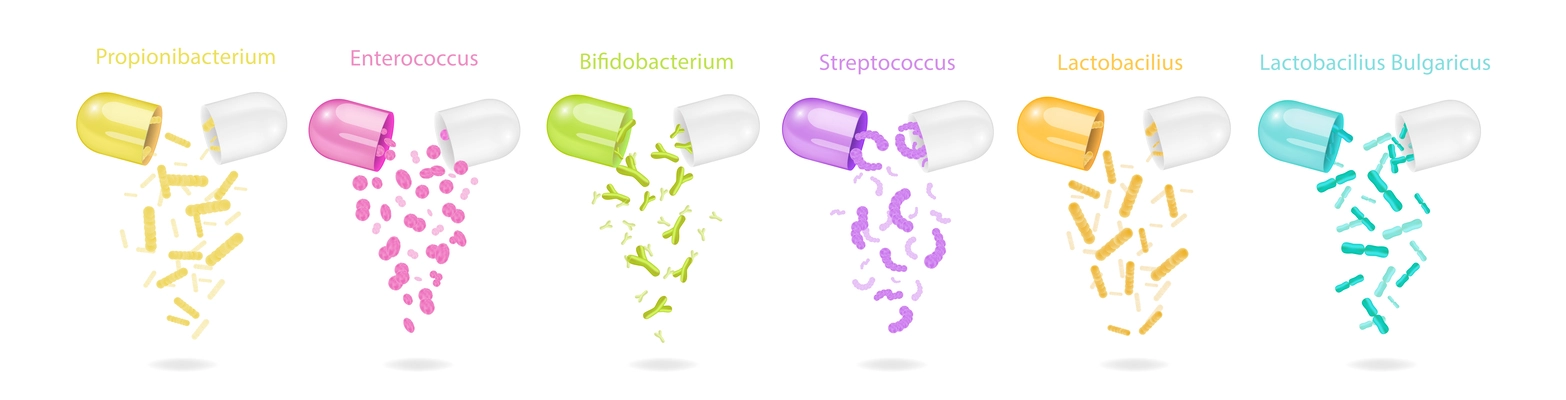 Open colourful probiotics capsules with falling out good bacteria realistic set with text captions isolated vector illustration