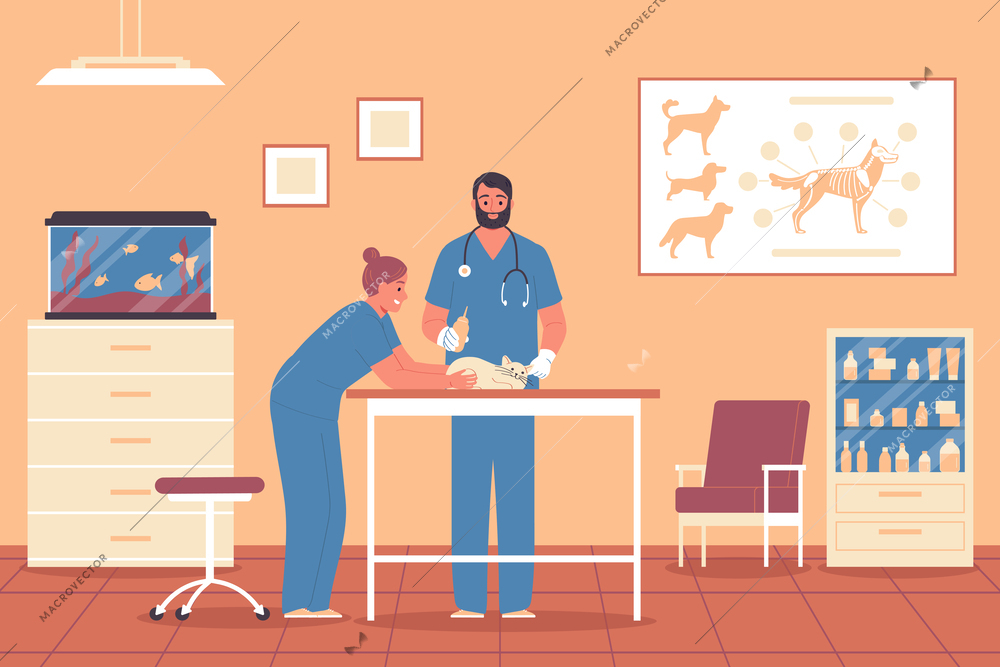 Veterinary clinic flat background with male and female pet doctors conducting medical procedure for cat vector illustration