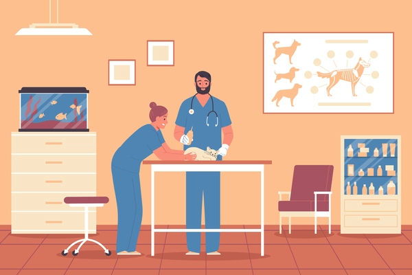 Veterinary clinic flat background with male and female pet doctors conducting medical procedure for cat vector illustration