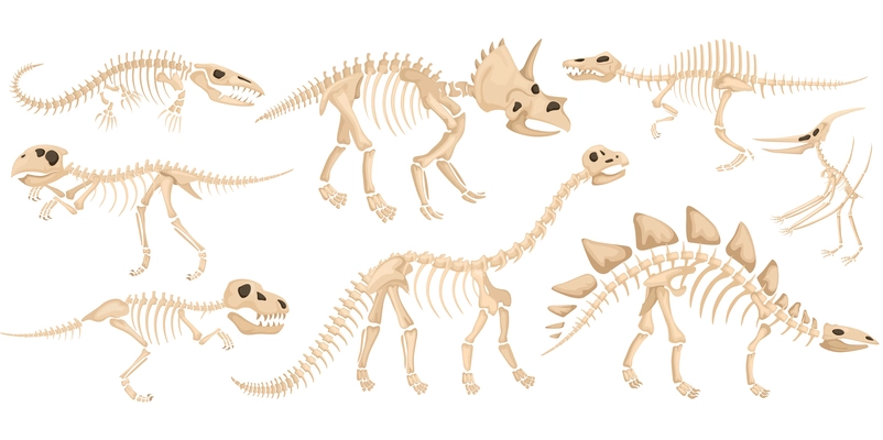 Dinosaur skeleton icon set with large ancient animals of different species flying predatory and herbivorous vector illustration