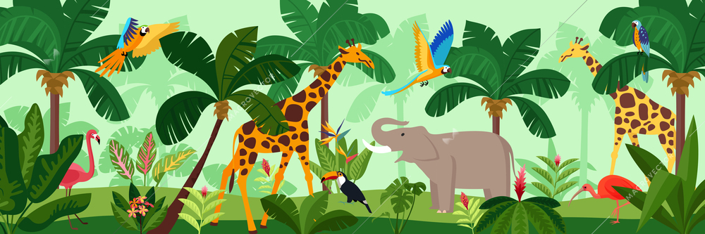 Jungle colored composition zebras elephant flamingos and parrots are in the green jungle vector illustration