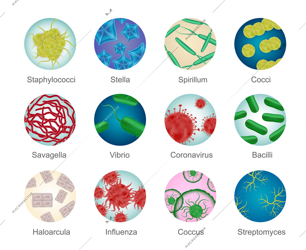 Bacteria shapes set of isolated circle icons with realistic colorful microorganism structures and editable text captions vector illustration