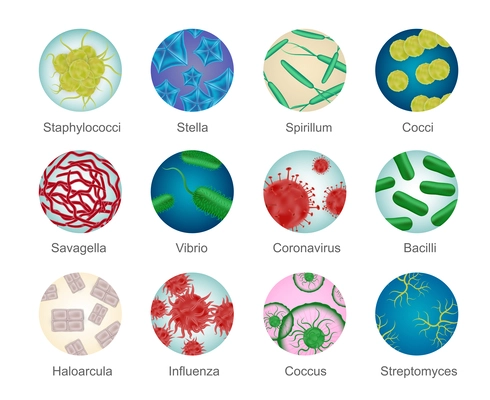 Bacteria shapes set of isolated circle icons with realistic colorful microorganism structures and editable text captions vector illustration