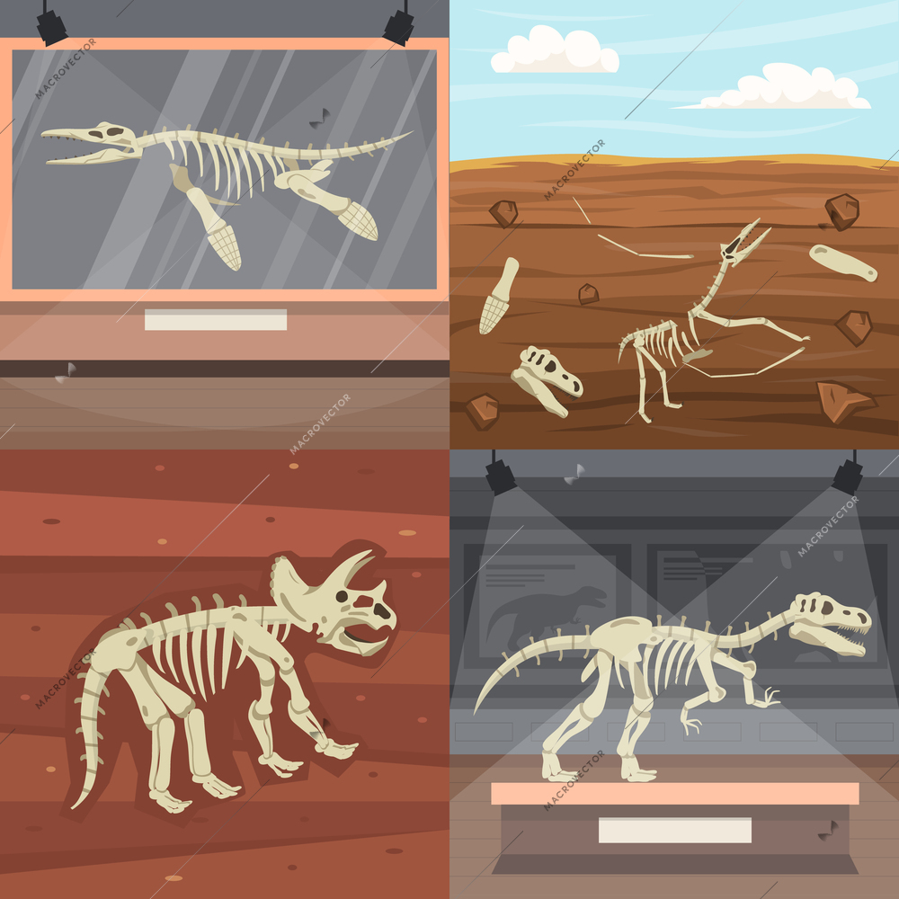 Dinosaur skeleton flat 2x2 design concept with ancient fossils and museum exhibits isolated vector illustration